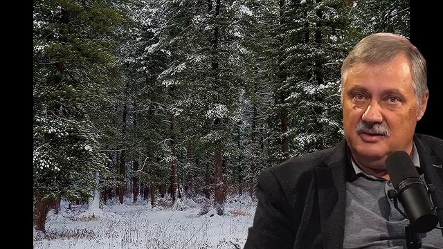 Дмитрий Евстафьев. Играть в повесточку, в наративчики уже не получится...