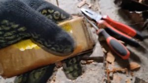 СКОЛЬКО МЕДИ В ДРОССЕЛЕ СССР? ДОБЫВАЮ ЦВЕТНОЙ МЕТАЛЛ. КАК ЗАРАБОТАТЬ ДЕНЬГИ НА МЕТАЛЛОЛОМЕ