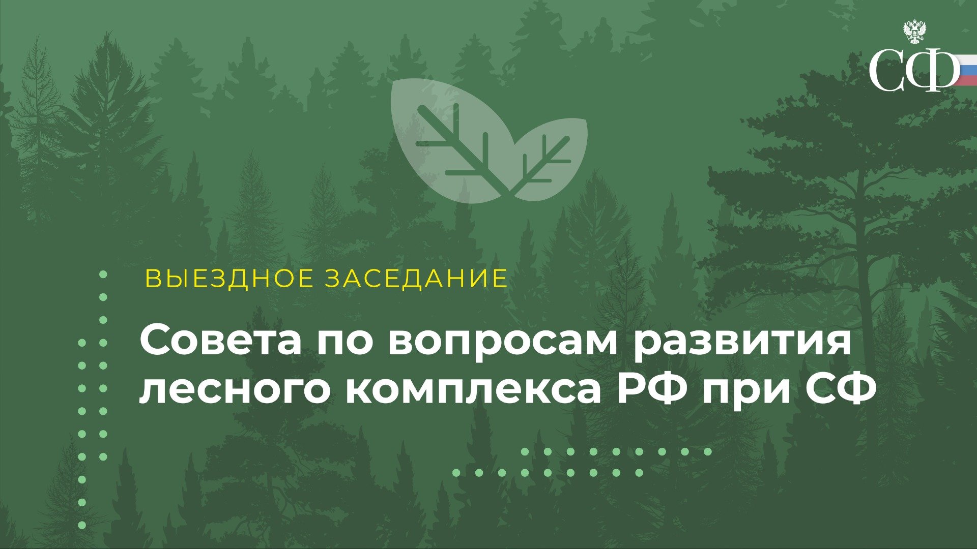 Государственных программ развитие лесного хозяйства
