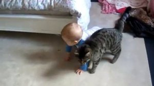 Посмотрите как кот может любить ребенка!