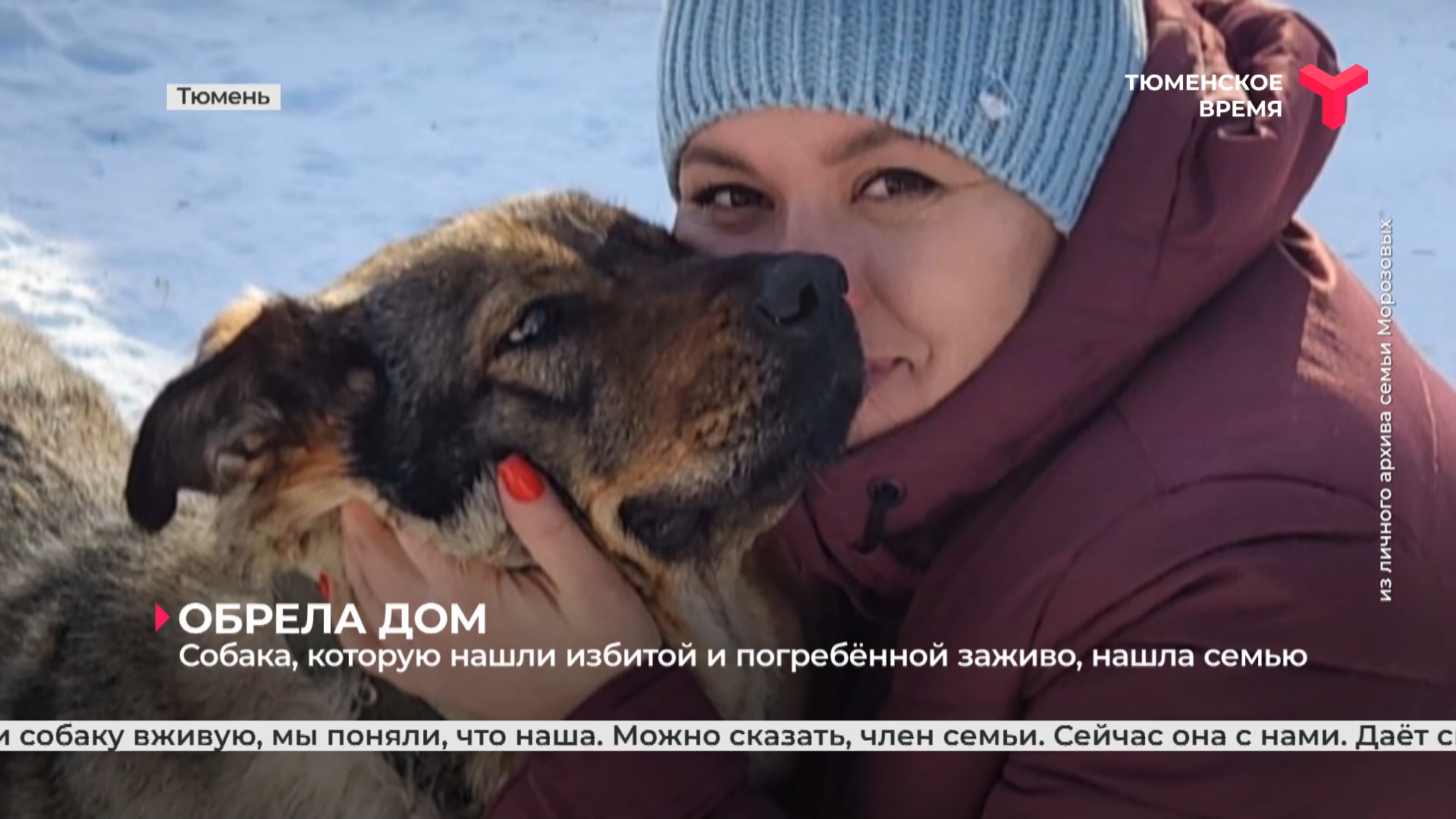 Собака, которую обнаружили избитой и погребённой заживо, нашла семью