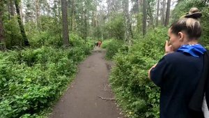 Камышлинский водопад