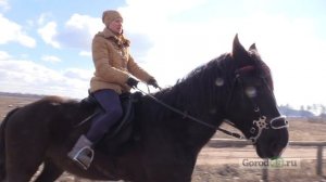 Просто все: учимся ездить верхом