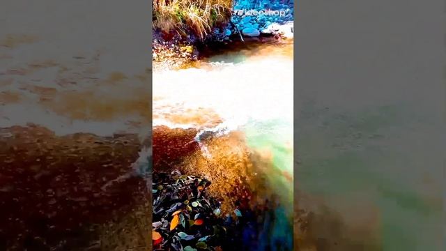 ОСЕНЬЮ КАЖДЫЙ ЛИСТОК, КАК ЦВЕТОК. смотреть онлайн