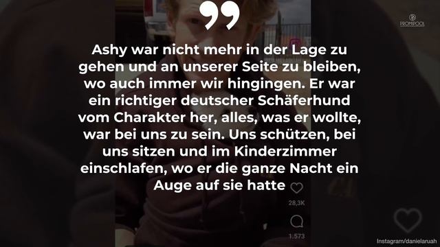 NCIS: L.A.-Star Daniela Ruah trauert: „Unser Herz ist gebrochen“ • PROMIPOOL смотреть онлайн