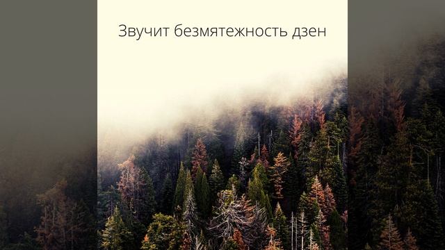 Атмосфера дзен