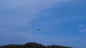 Модель самолета Ли-2 1400 / Полет для Флешмоба / ALNADO