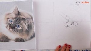 Как нарисовать глаза и нос кота | Рисуем кошку акварелью | Как нарисовать кота пошагово