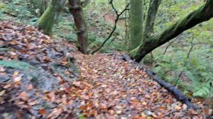 Тропа здоровья на Роза Хутор.