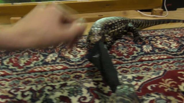 Мила с Копой дерутся за носок смотреть онлайн