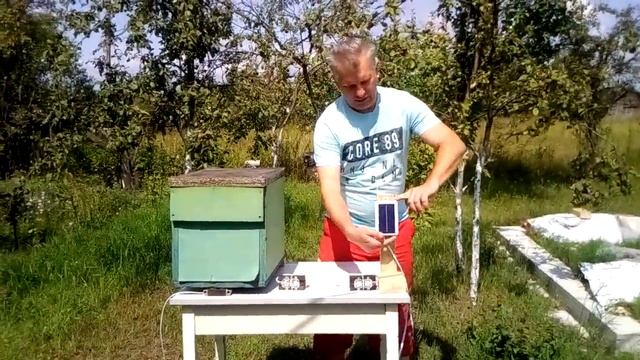 СМС-мониторинг веса трех ульев