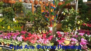 1-Я СУРА АЛЬ-ФАТИХА (ОТКРЫВАЮЩАЯ) ПЕРЕВОД НА РУССКОМ ЯЗЫКЕ