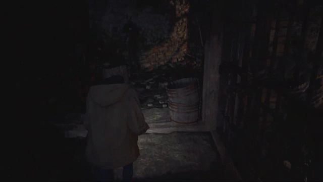 Resident Evil 8.  Дополнение Розы
