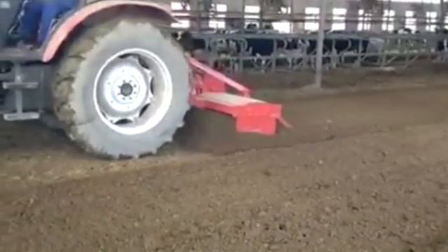 Бактерии для подстилки для КРС смотреть онлайн