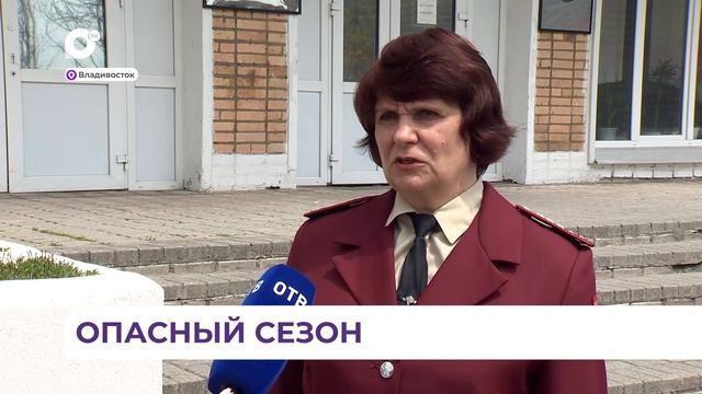 Жертвами клещей в Приморье стали боле 500 человек