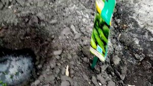 Посев Семян Огурцов "КОНКУРЕНТ" по СПАНБОНД. 19 мая 2020г.