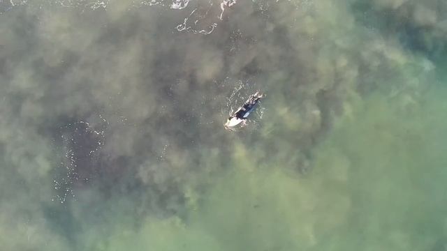 NSDR | Non-Sleep Deep Rest Script смотреть онлайн