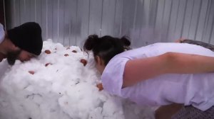 Эксперимент-12. День 51. Дайджест.