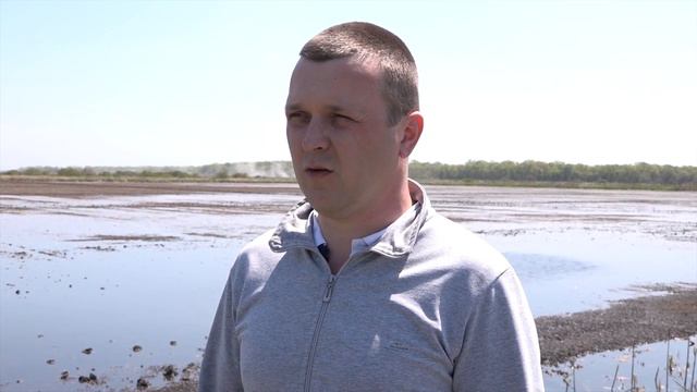 В Северском районе проводится сев риса смотреть онлайн