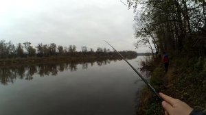 Ловля щуки на джиг-риг. Резина Kosadaka Slim