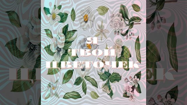 Я твой цветочек смотреть онлайн