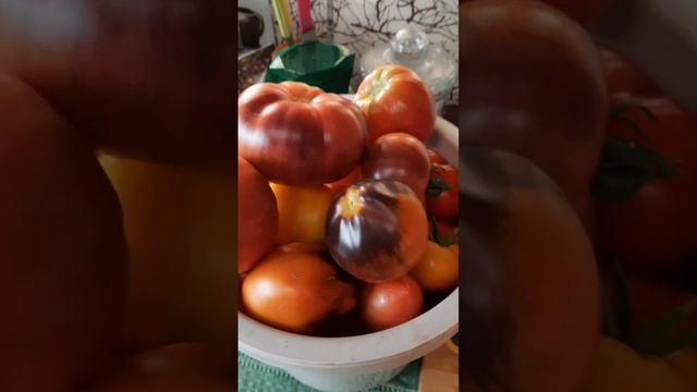 Помидоры ? "Просто класс" смотреть онлайн