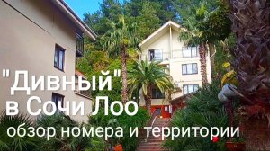 КОМПЛЕКС "ДИВНЫЙ" В СОЧИ ЛОО. ОЧЕНЬ ВЫГОДНЫЙ ОТДЫХ! СУПЕР ОБЗОР.
