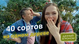 Бесплатный вебинар: ДЕРЕВО-САД