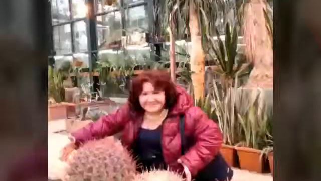 Ботанический сад МГУ смотреть онлайн