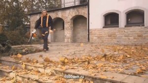 Всасывающий измельчитель SH 86 STIHL ( садовый пылесос )