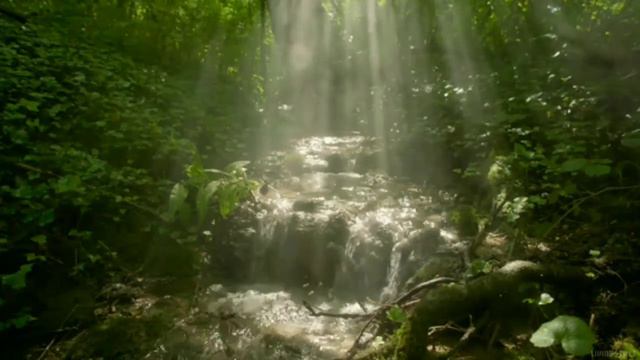Native American Flute Music "The Voice From Within"