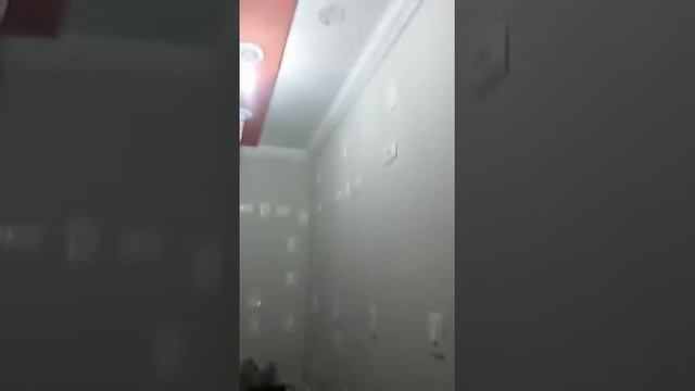 Дом сумасшедшего электрика?