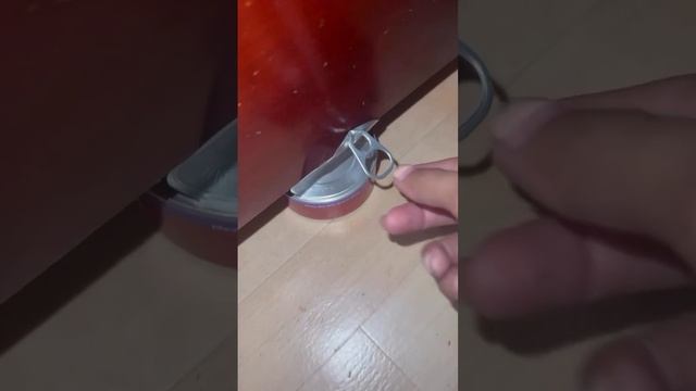 Подписывайся на канал/ самые смешные домашние животные ?