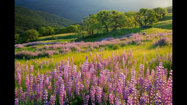 Landscape Photography ROAD TRIP! ► Heading out with Sean Bagshaw смотреть онлайн