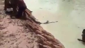 Это вам не лягушек через соломинку надувать.