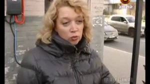 Крысы размером с кошку вольготно обосновались во дворе дома на ул. Пушкина