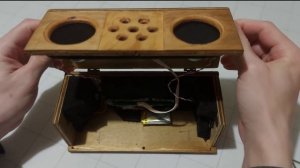 ?Беспроводная колонка своими руками. ЧТО ЖЕ ВНУТРИ ?????