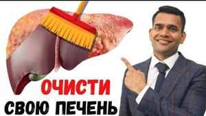 Лучшие Травы Для Очистки Вашей Печени
