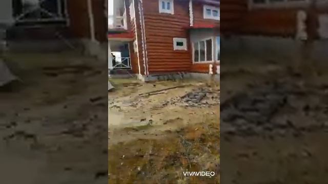 Дача на берегу Белого моря #ЗеленыйБор