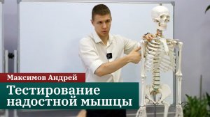 Тестирование надостной мышцы. Основы прикладной кинезиологии. Максимов Андрей