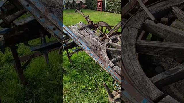 Турецкие козы. Раритет