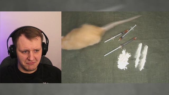 Ответы на вопросы #2. Большой выпуск | Реакция смотреть онлайн