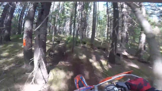 Шустрая Белка 2019-1 трек: Маниту. 1-день. онбординг: Brauer Jürto #156 смотреть онлайн