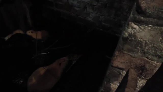 Нутрия или болотный бобр. смотреть онлайн