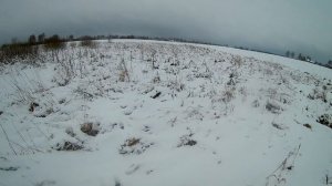 Охота на зайца в январе. Заяц с 60-ти метров.