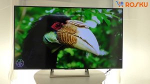 Обзор 4K ТВ от Sony серии XE7096 на примере 65XE7096 (43xe7096, 49xe7096, 55xe7096 xe7005)
