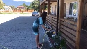 Отель «Al Mare» Пицунда