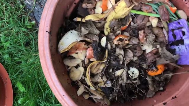 Quick DIY Composter Update | 4 Months On! смотреть онлайн