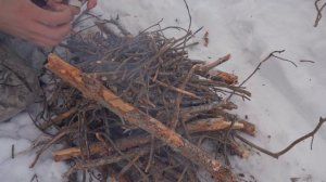 Глухозимье, поход на охотничьих лыжах к лесу, ветренный день