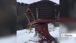 Кузбассовец сделал вращающуюся избушку на курьих ножках